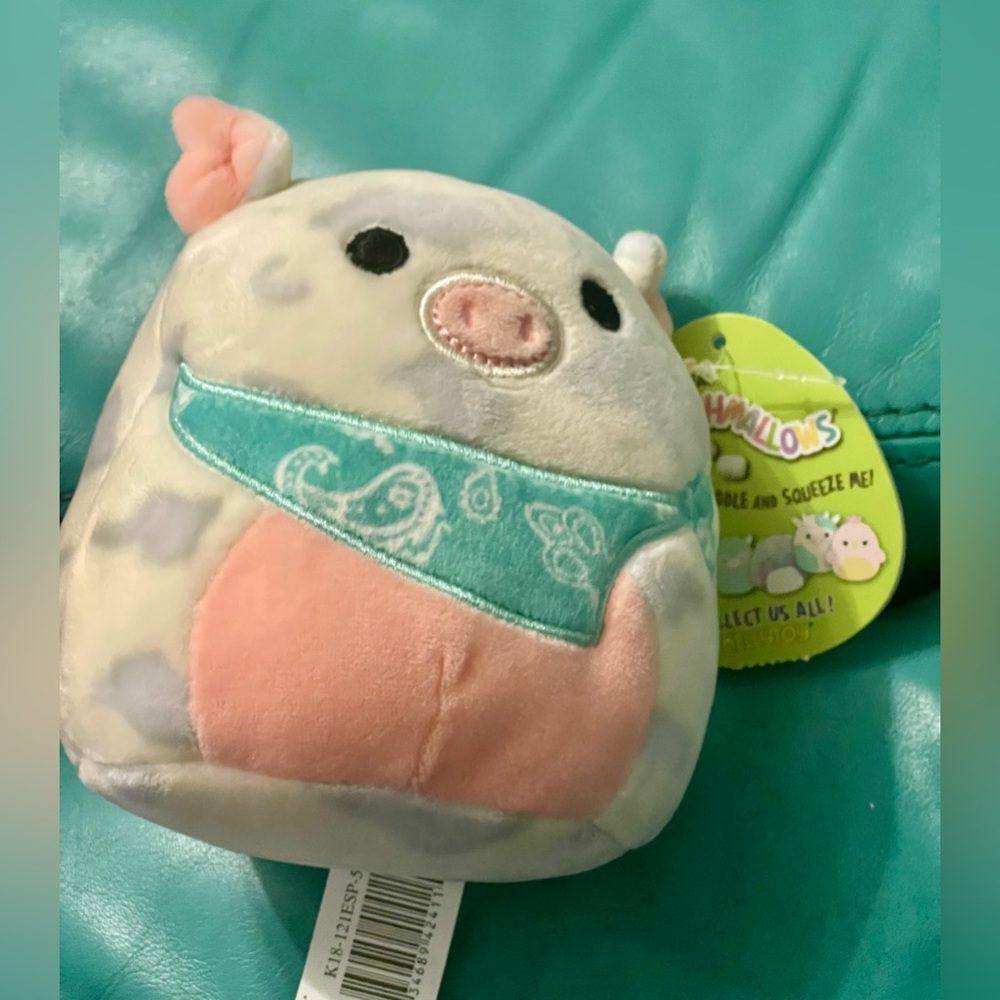 Squishmallows you pick 1